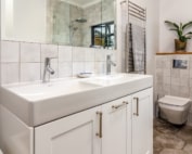 A modern bathroom featuring a double sink with faucets, a toilet, a wall-mounted mirror, and a plant on a shelf.